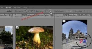 Adobe releases Lightroom Classic 13.3