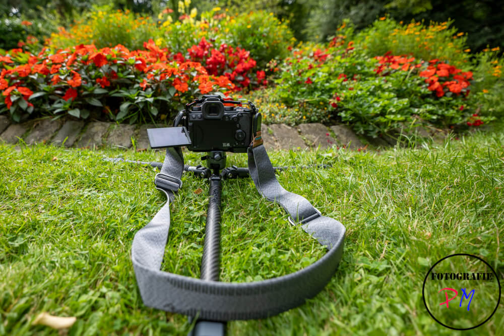 Looking for an even more compact tripod for traveling